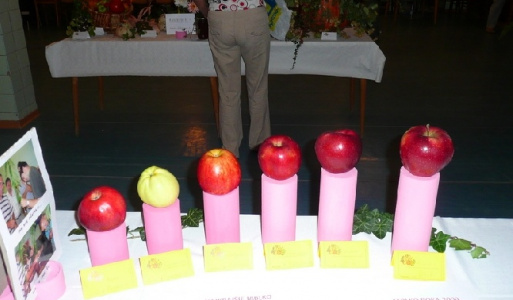 Výstava ovocia Ždaňa 