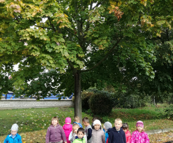 Materská škola #5_2017