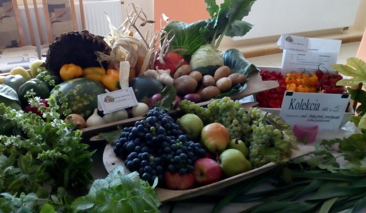 Výstava záhradkárov 2016