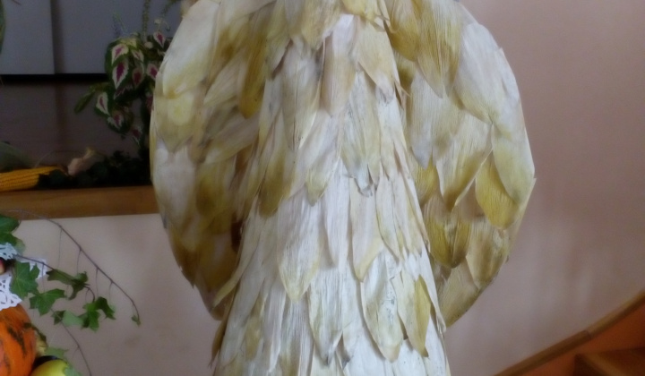 Výstava záhradkárov 2016