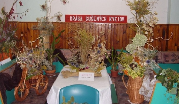 VÝSTAVA ZAHRADKÁROV