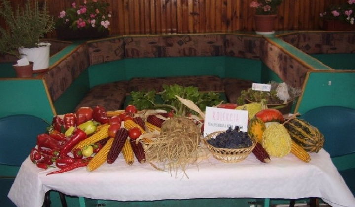 VÝSTAVA ZAHRADKÁROV