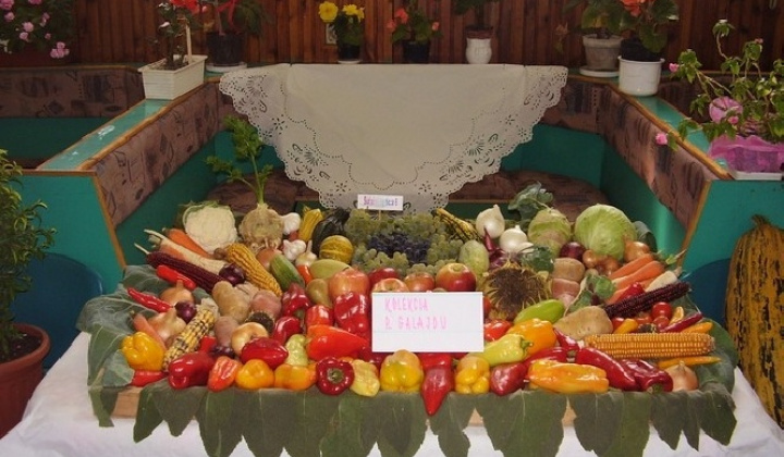 VÝSTAVA ZAHRADKÁROV