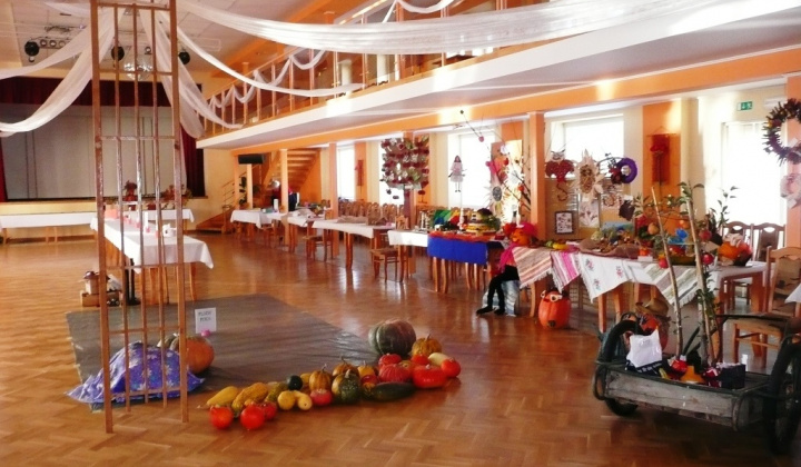 Výstava záhradkárov 2013