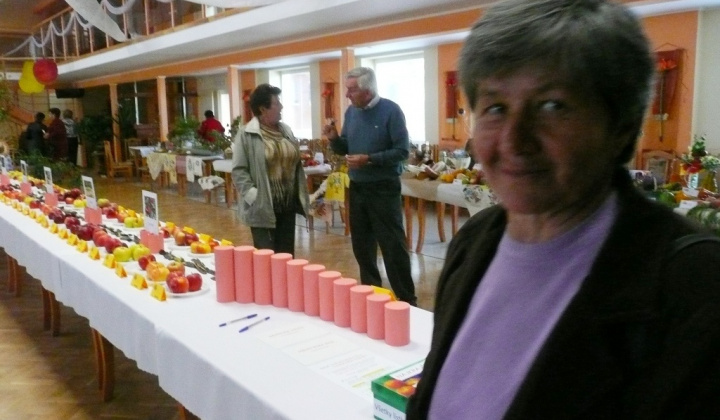 Výstava záhradkárov 2013