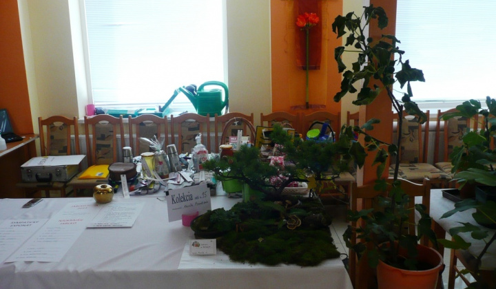 Výstava záhradkárov 2013