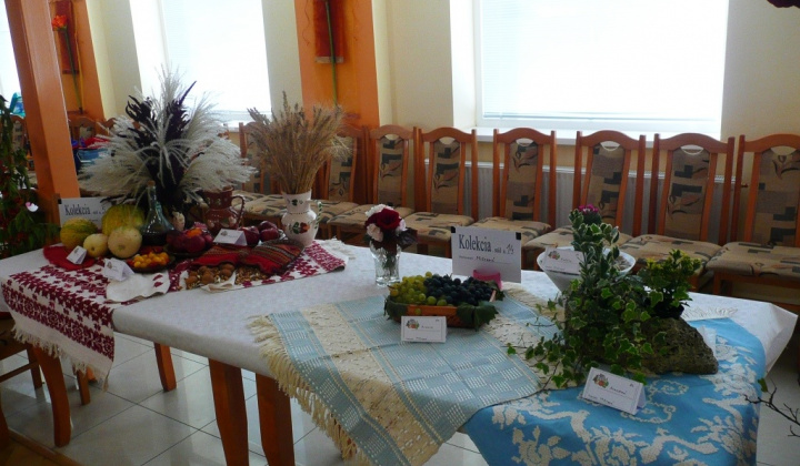 Výstava záhradkárov 2013