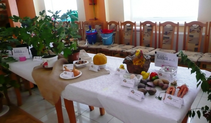 Výstava záhradkárov 2013