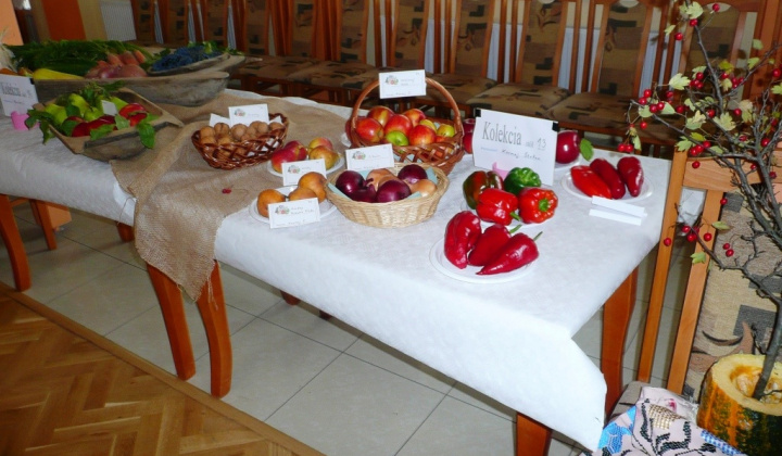 Výstava záhradkárov 2013