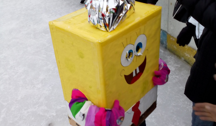 11. fotografia fotogalérie Karneval na ľade