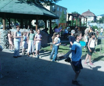 Spoločenské akcie