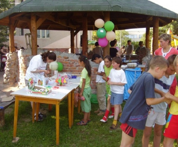 Spoločenské akcie