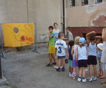 Spoločenské akcie